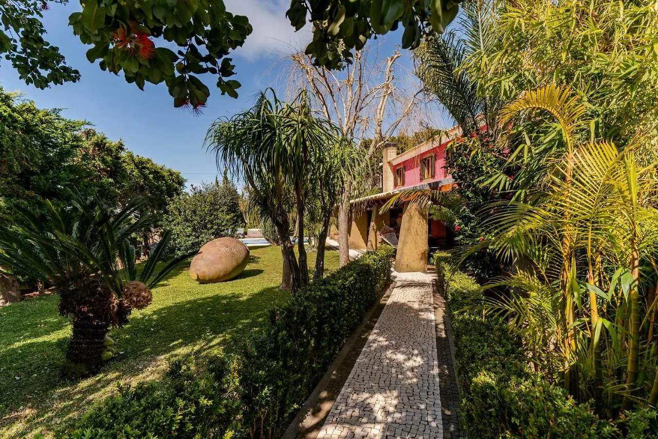 Cris'S Home By Ourmadeira Calheta
